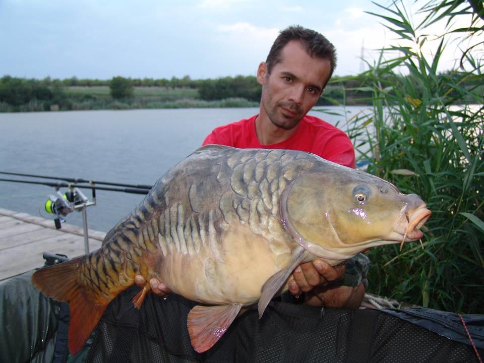 Tancabesti 31 august - 7 septembrie 2014 - 1040701572386638767898874833533240730476n.jpg